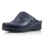 Dámske šľapky Batz FC10 blue